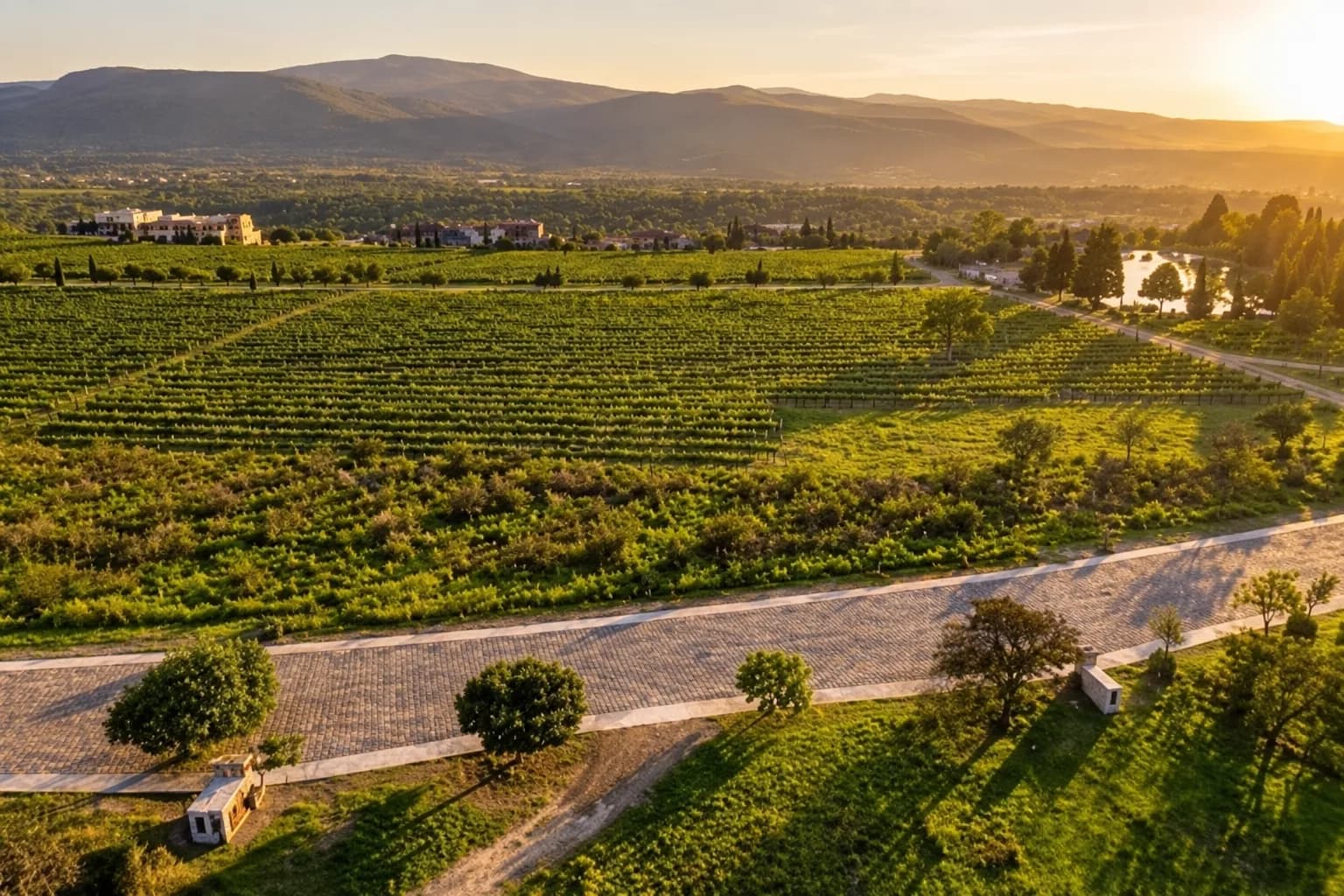 Lote Viñedo San Miguel — photo 1 of 4