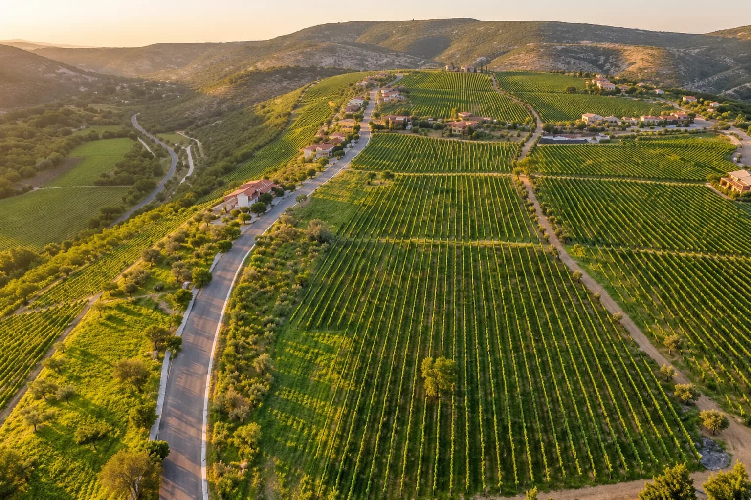 Lote Viñedo San Miguel — photo 2 of 4