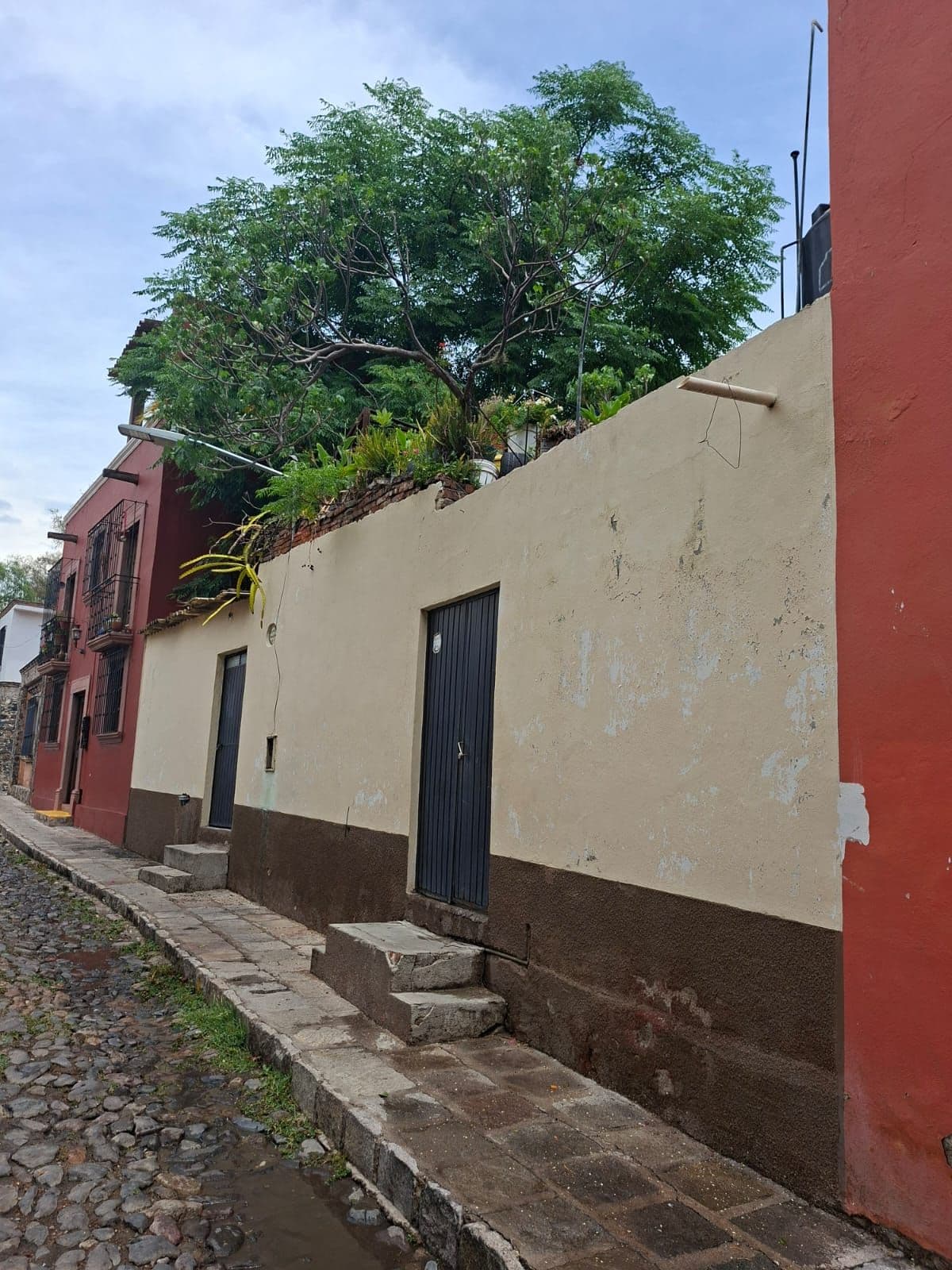 Terreno Árboles — photo 1 of 1