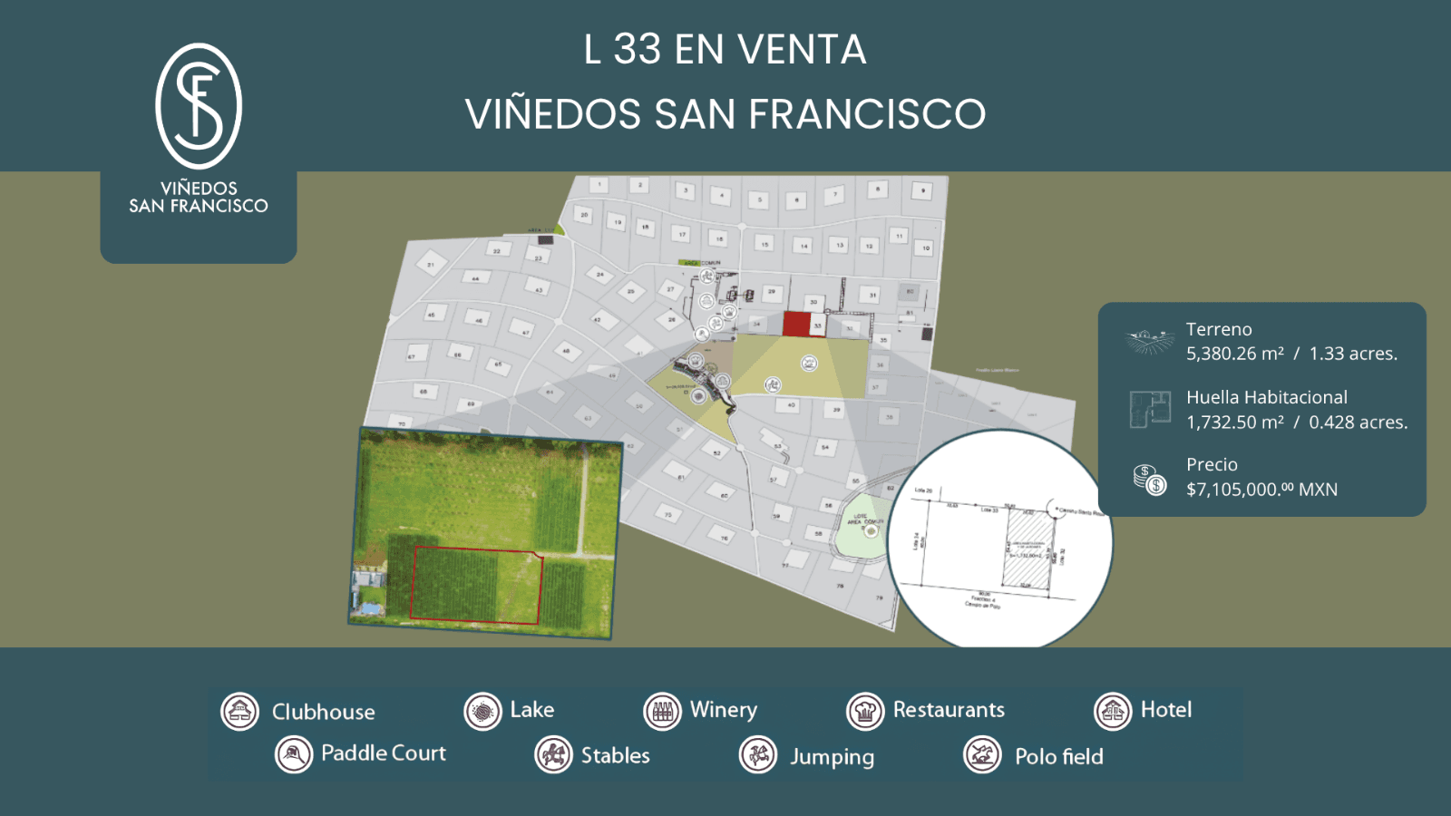 L33 VIÑEDOS SAN FRANCISCO — photo 1 of 1