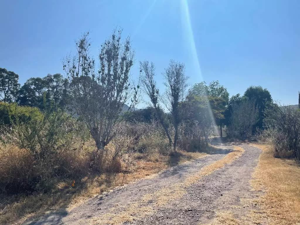 Cabras Agrihood Lot II — photo 1 of 1