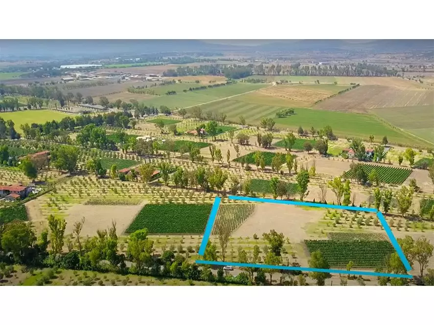 Homesite in Viñedo San Lucas — photo 1 of 1