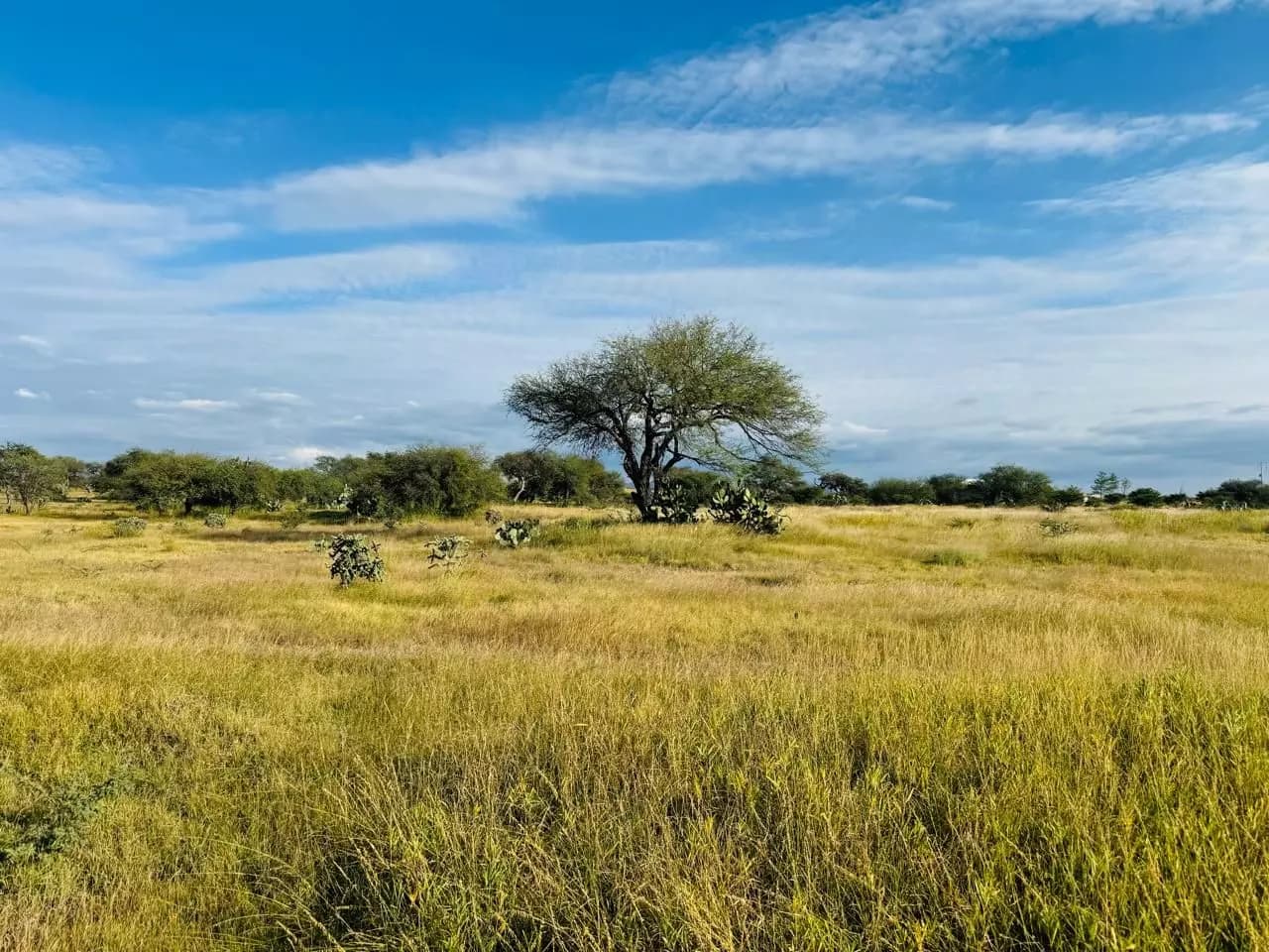 5.9 acres of Premium Land — photo 1 of 1