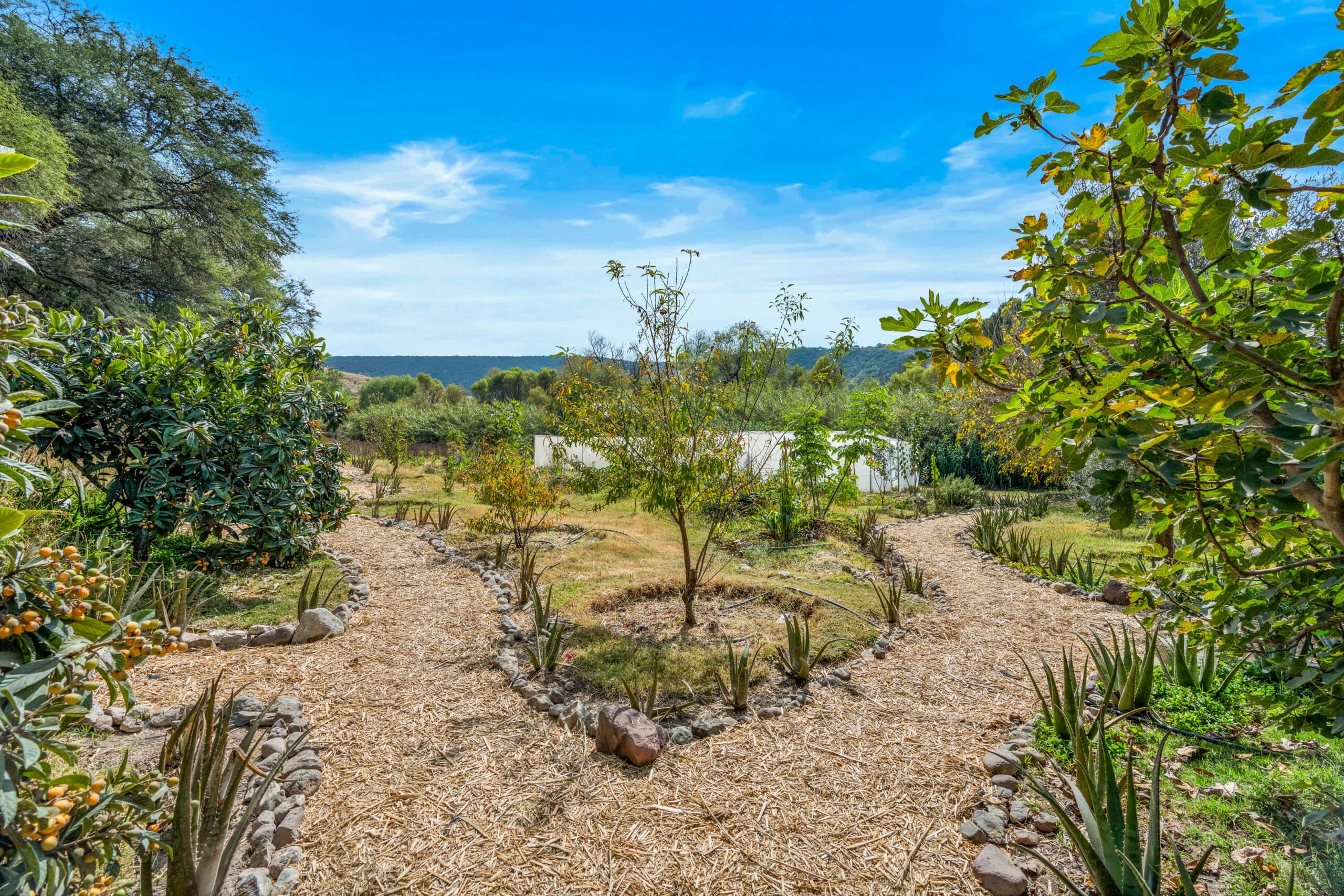 Armonia Eco villa — photo 7 of 10