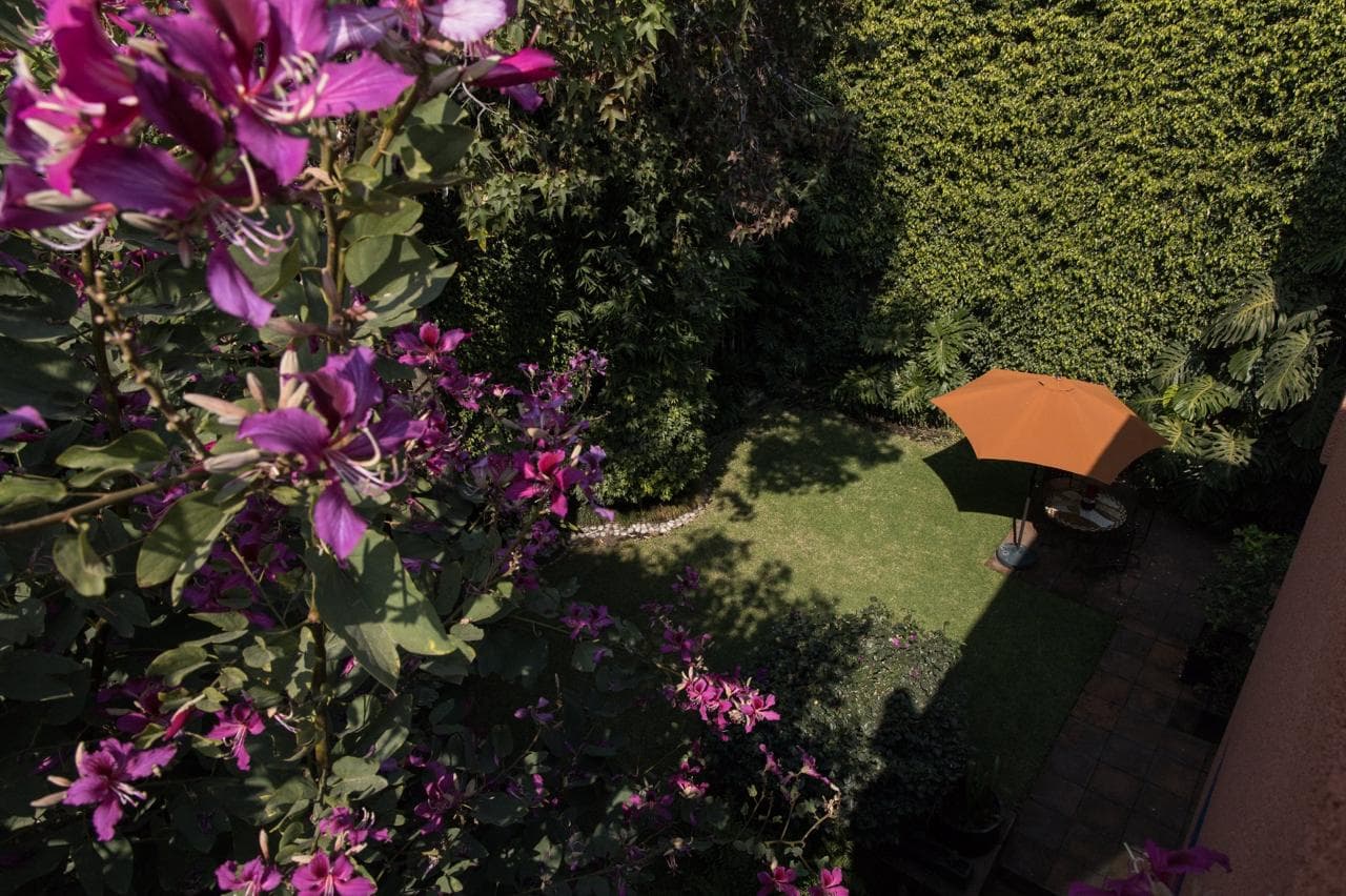 Casa Coyoacan — photo 6 of 10