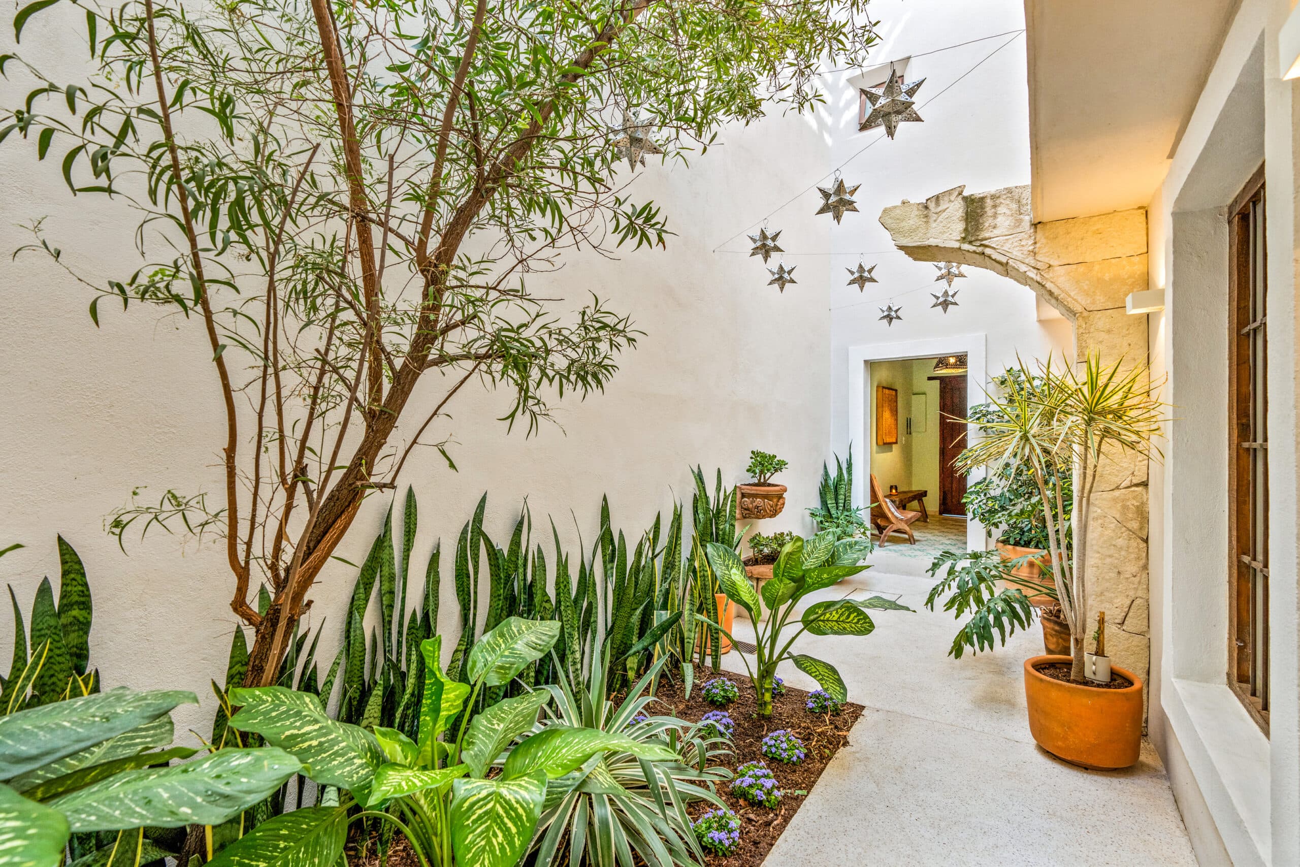 Casa Laguna — photo 3 of 10