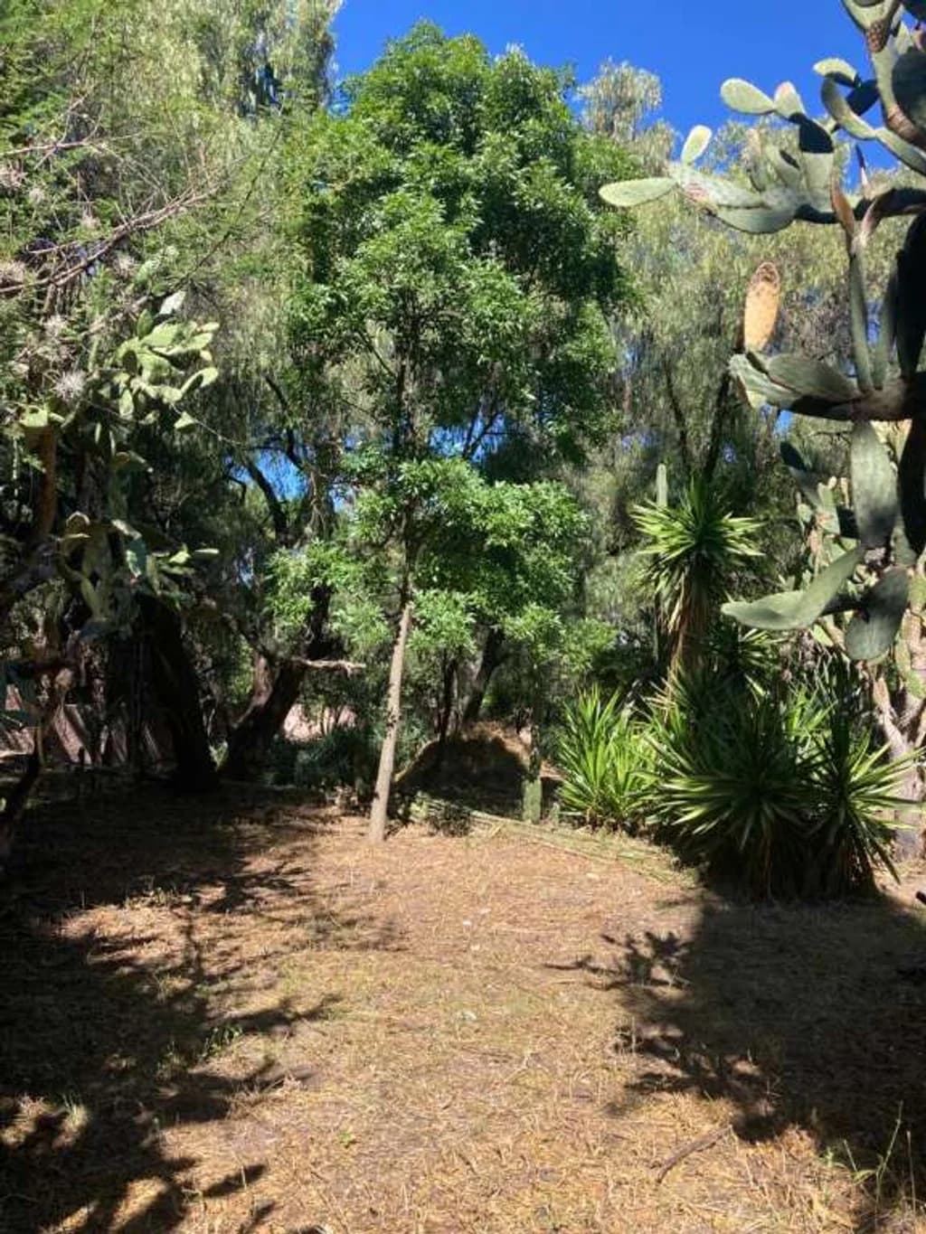 Lote 4 Cañadita — photo 1 of 4