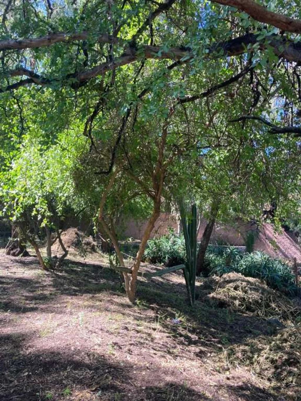 Lote 4 Cañadita — photo 3 of 4