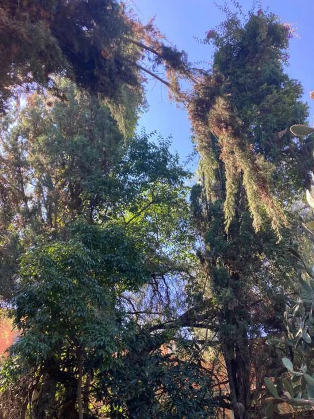 Lote 4 Cañadita — photo 4 of 4