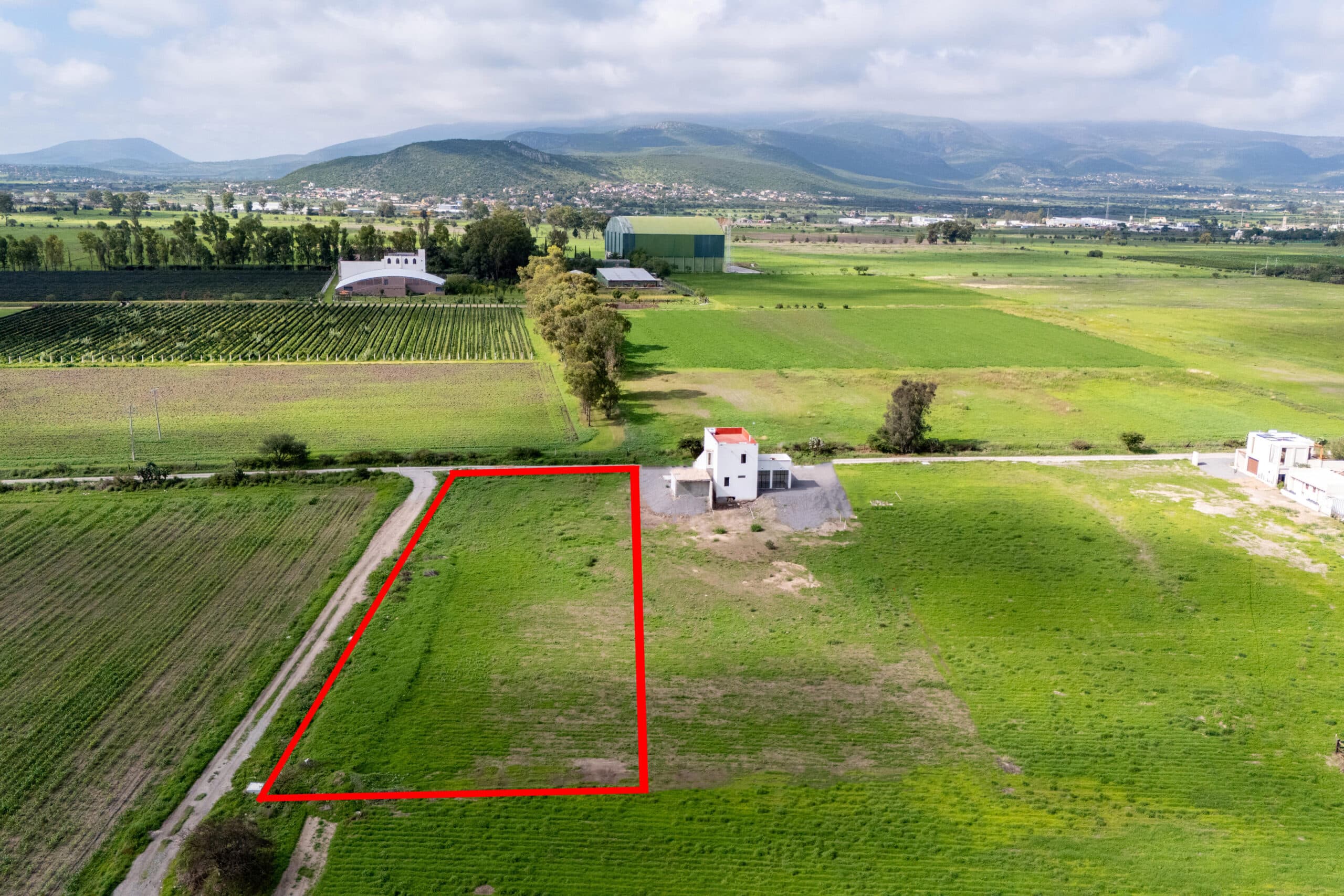 Lote Magnolia — photo 2 of 4