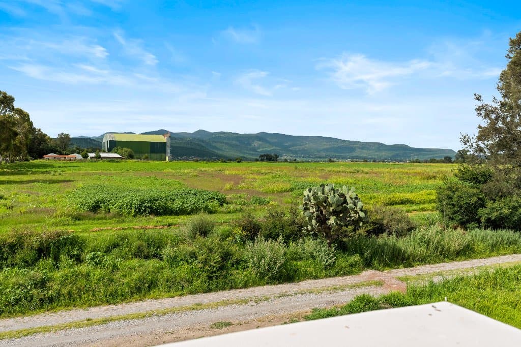 Lote Magnolia — photo 4 of 4